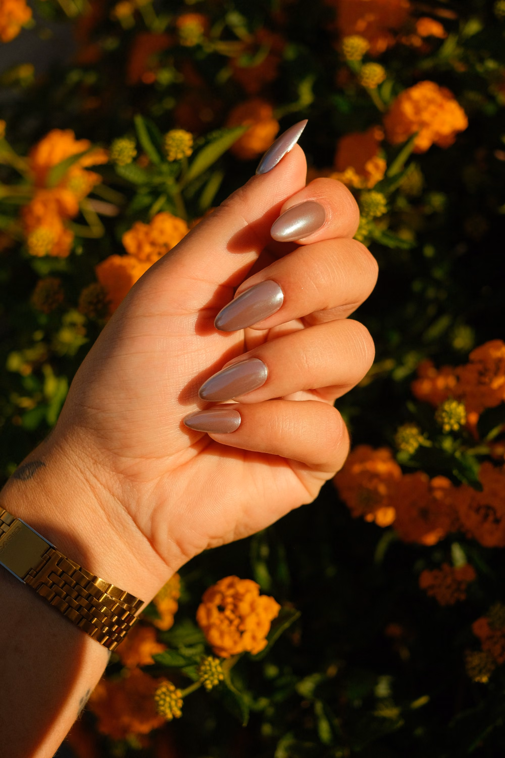 Almond manicure in golden evening light